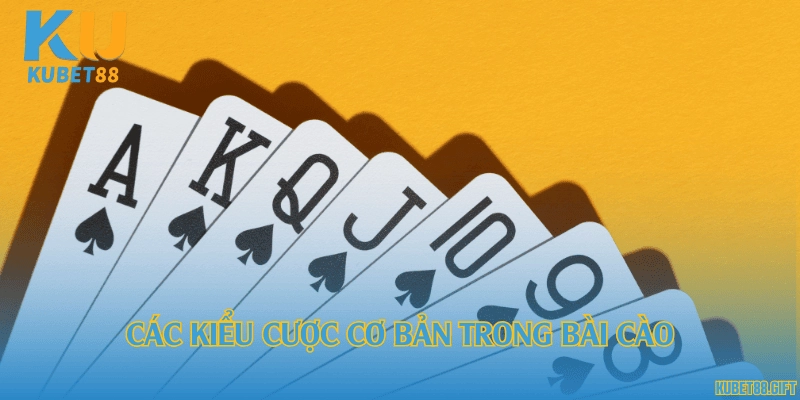 Các kiểu cược cơ bản trong bài cào